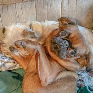 Meet your Posher, Charlotte